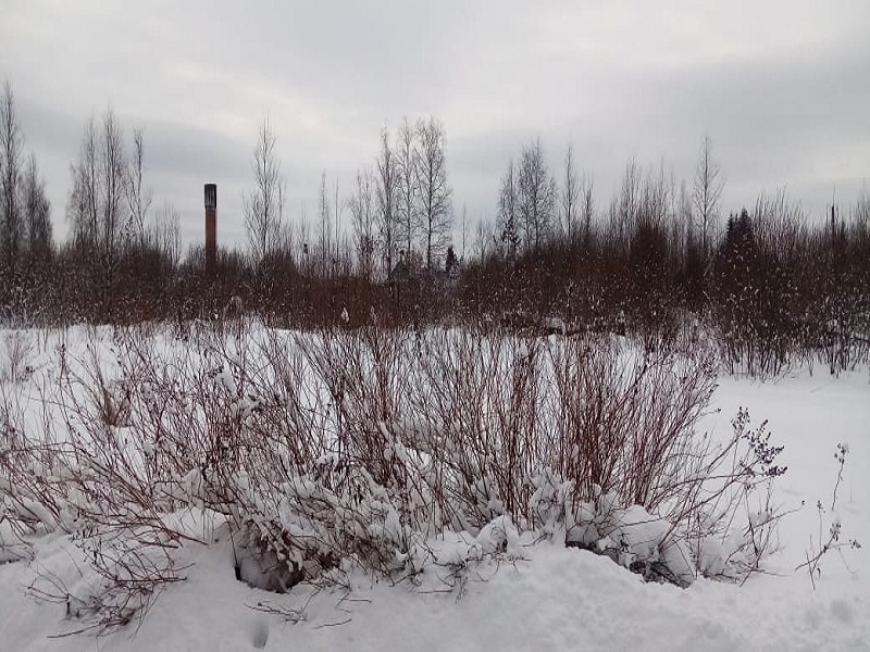 Совсем скоро начнётся приём заявок на проект ППМИ.