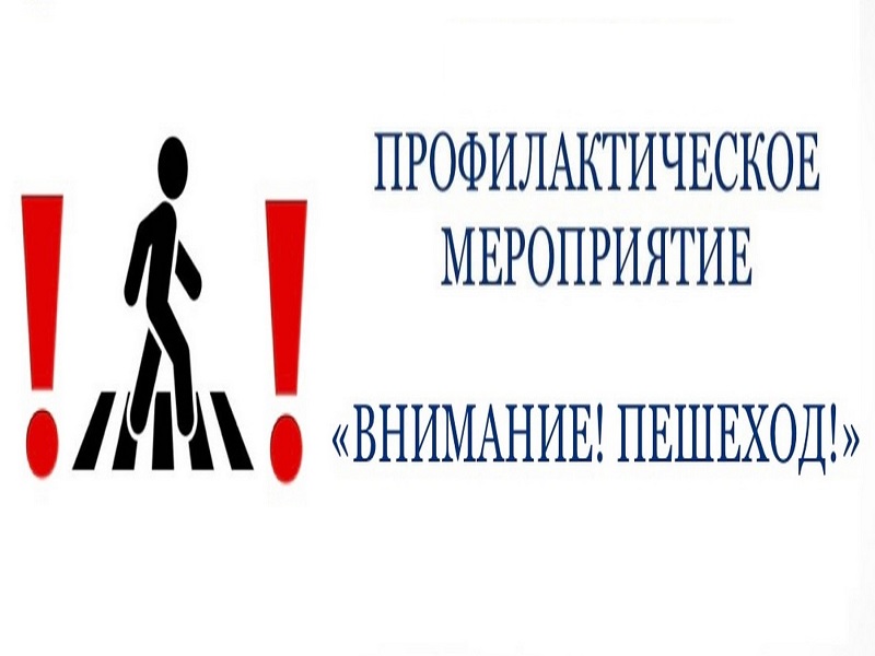 Профилактическое мероприятие «Внимание! Пешеход».