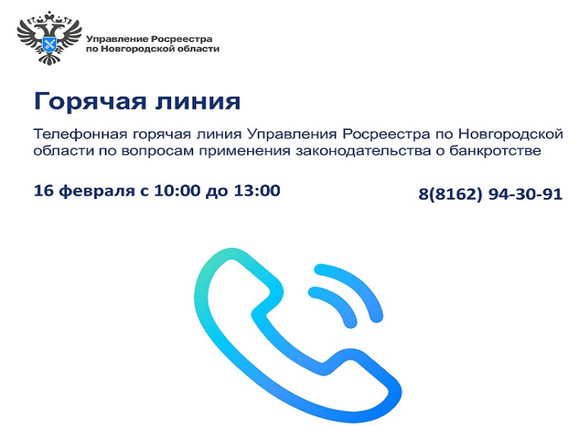 В Управлении Росреестра по Новгородской области пройдет первая в 2024 году горячая линия по вопросам банкротства.