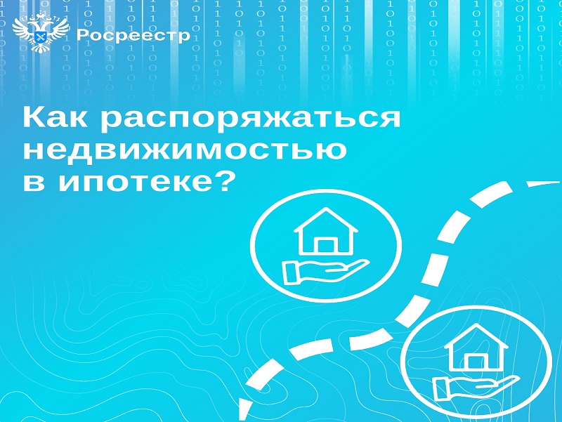 Как распоряжаться недвижимостью в ипотеке?.