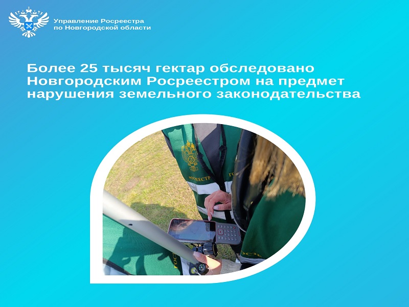Более 25 тысяч гектар обследовано Новгородским Росреестром на предмет нарушения земельного законодательства.