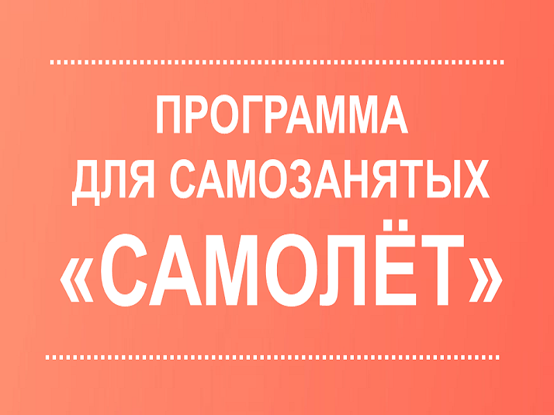 Проект для самозанятых самолет