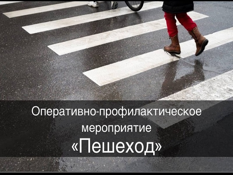 Профилактическое мероприятие «Пешеход».