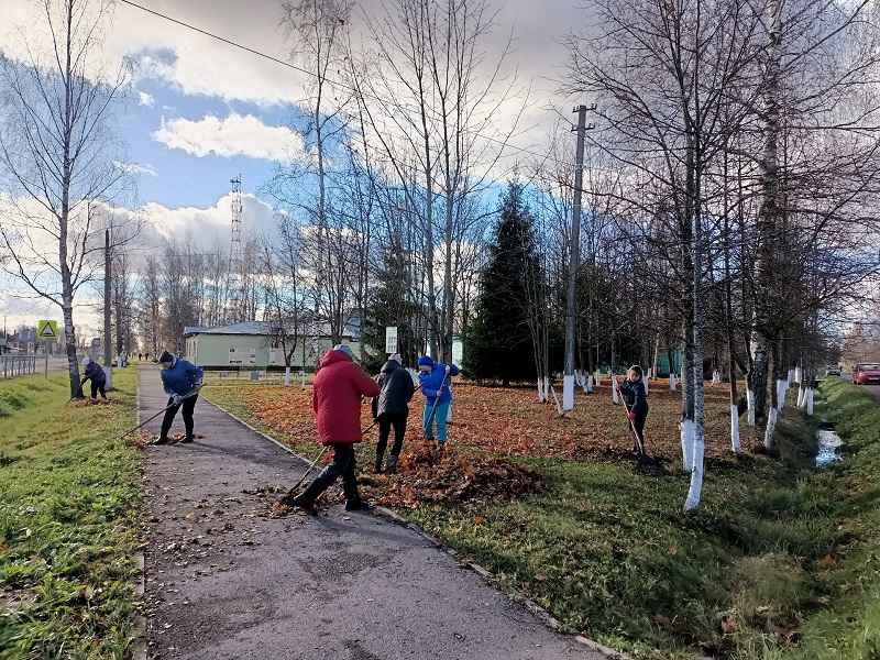 В рамках социального проекта &quot;ГосСтарт.Доброслужащий&quot; специалисты администрации муниципального района, работники бюджетных учреждений села сегодня вышли на очередной субботник и убрали опавшие листья в сквере братьев Лепаловских.