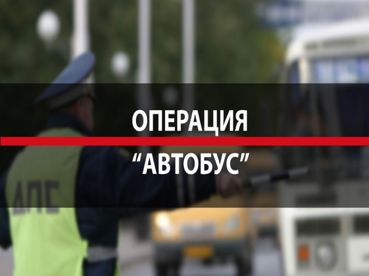 Профилактическое мероприятие «Автобус». Профилактическое мероприятие «Автобус».