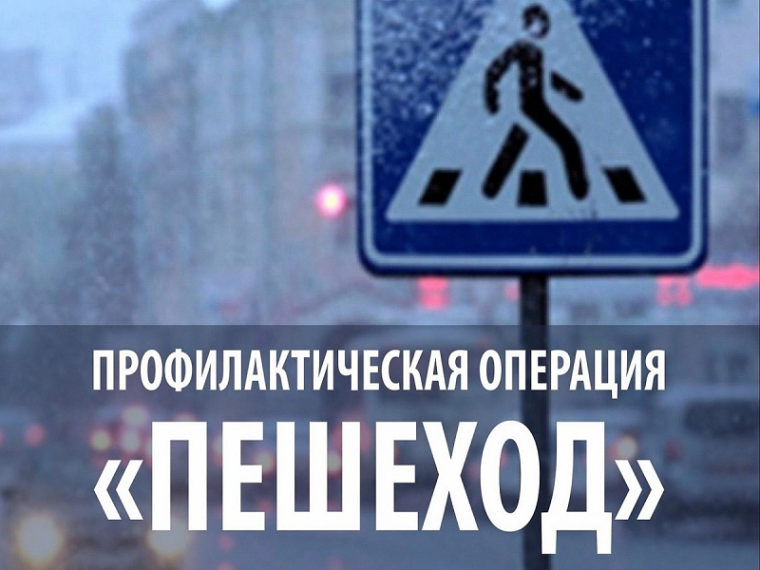 Профилактическое мероприятие «Внимание- Пешеход!». Профилактическое мероприятие «Внимание- Пешеход!».