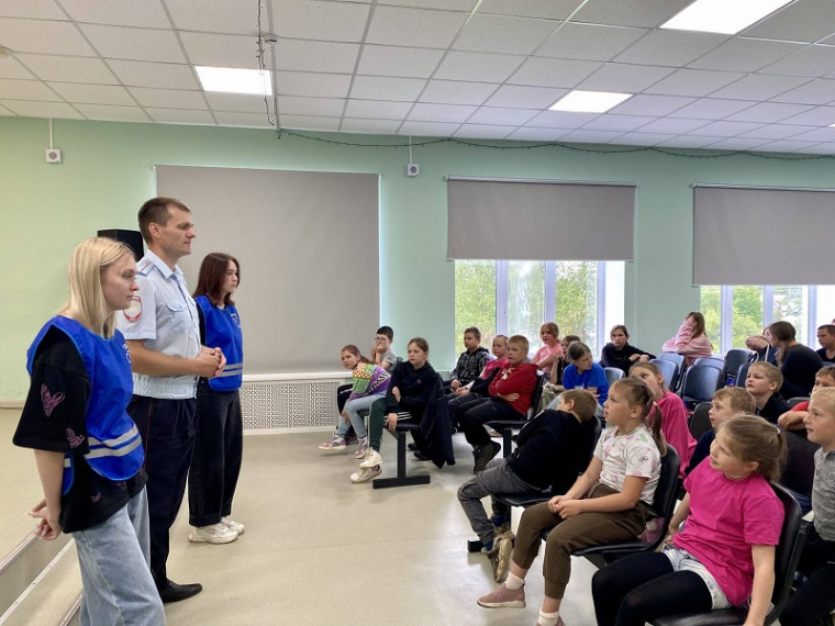 Профилактика детского дорожно-транспортного травматизма. Профилактика детского дорожно-транспортного травматизма.